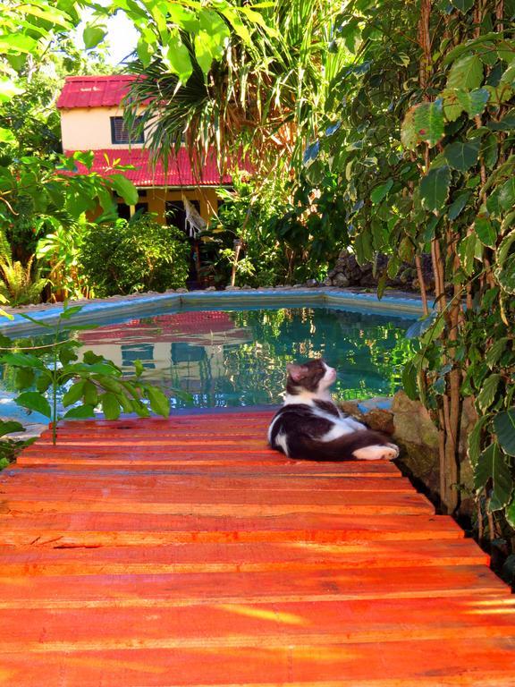 La Rancheta Hotel ลาส กาเลราส ภายนอก รูปภาพ